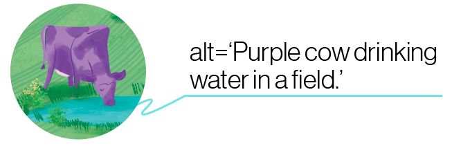 Alt tags example describing image of purple cow drinking water in a field